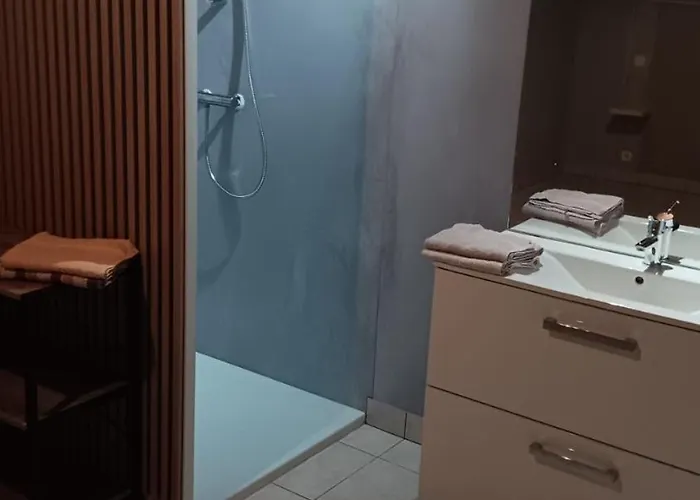 Le Marronnier Σπίτι διακοπών Saint-Mamet-la-Salvetat